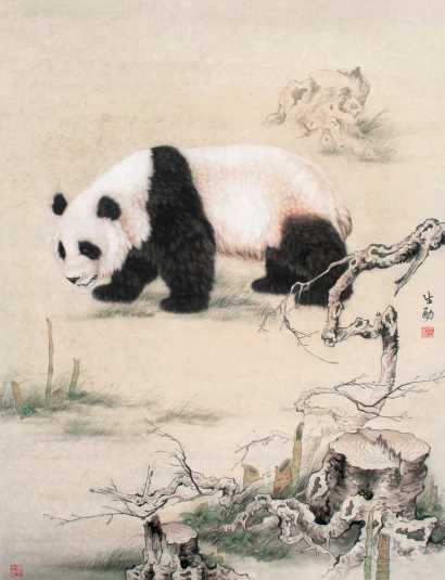 王申勇 熊猫 软片